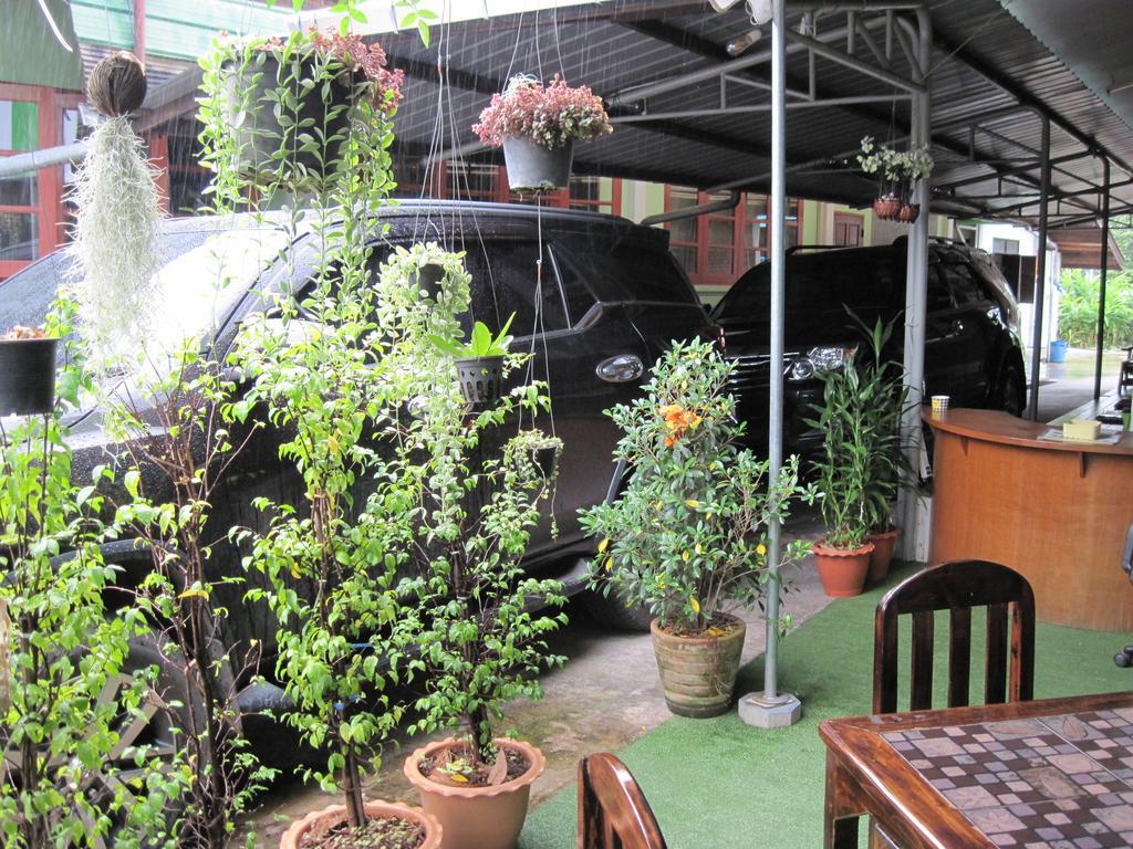 Sakura House Ostello *