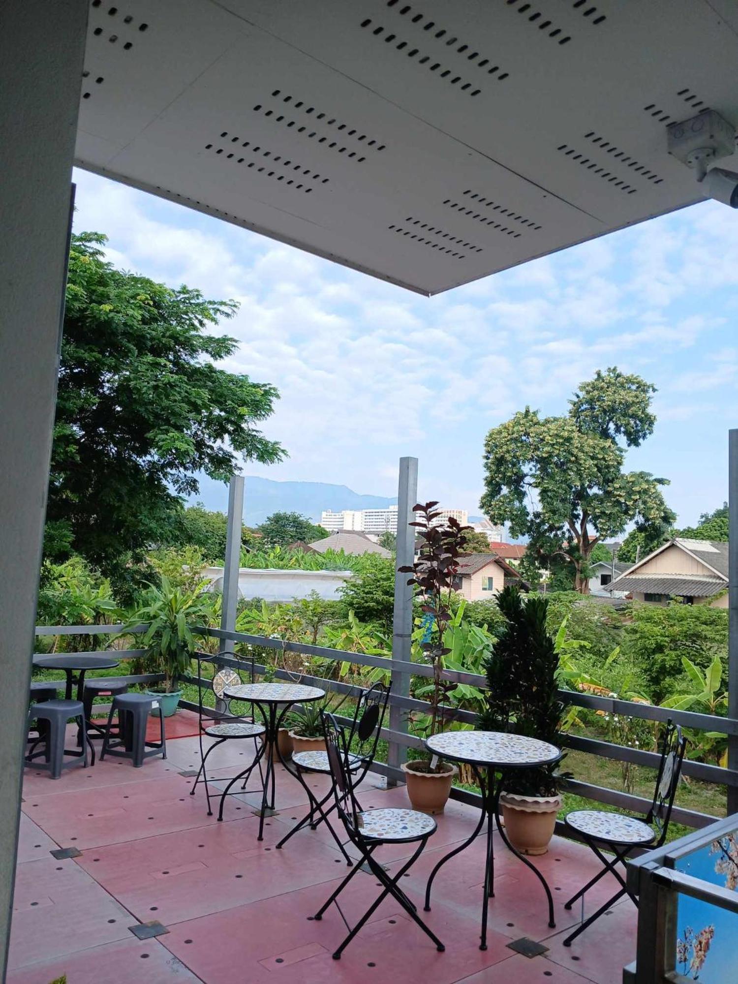 Sakura House Asrama Chiang Mai